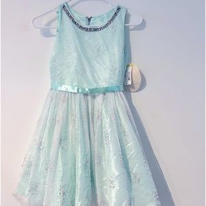 American princess dress size 10